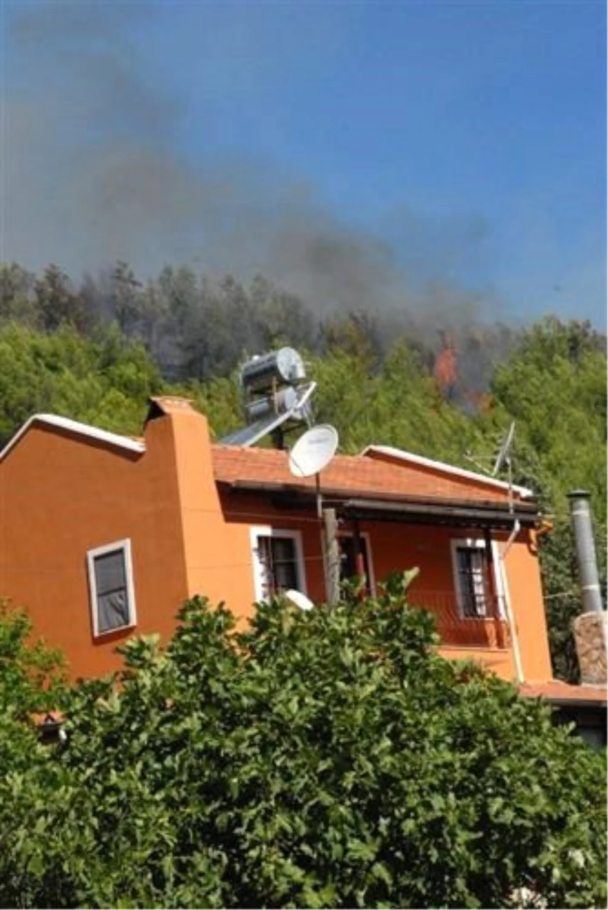 Fethiye\'de Orman Yangını; 2 Hektar Alan Kül Oldu