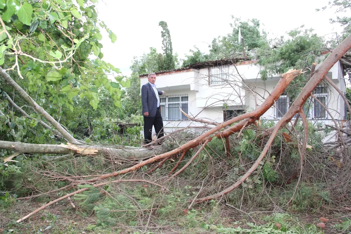 Fırtınadan Zarar Gören Çarşamba\'da Zarar Tespit Çalışmaları Sürüyor
