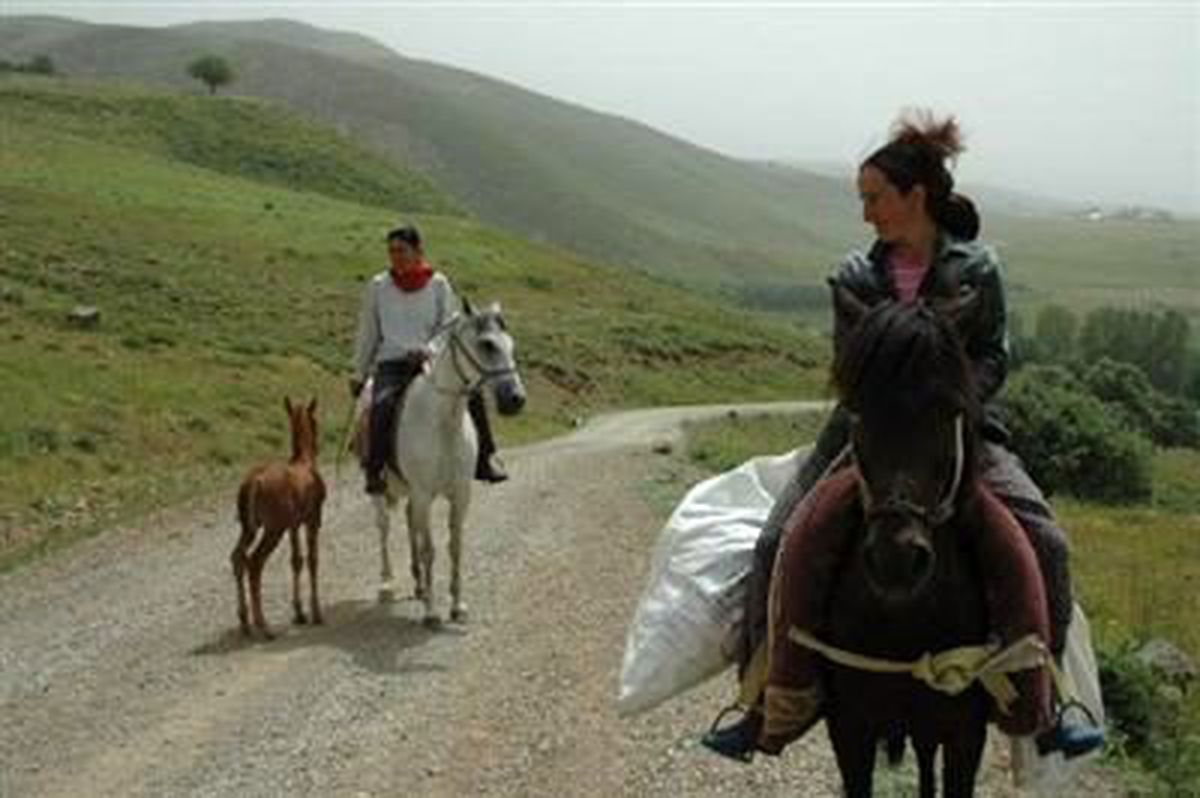 Muşlu Amazonlar Yayla Yolunda