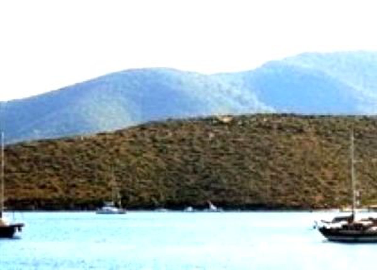 Suudi Prens\'ten "Bu Adayı Alın" Talimatı