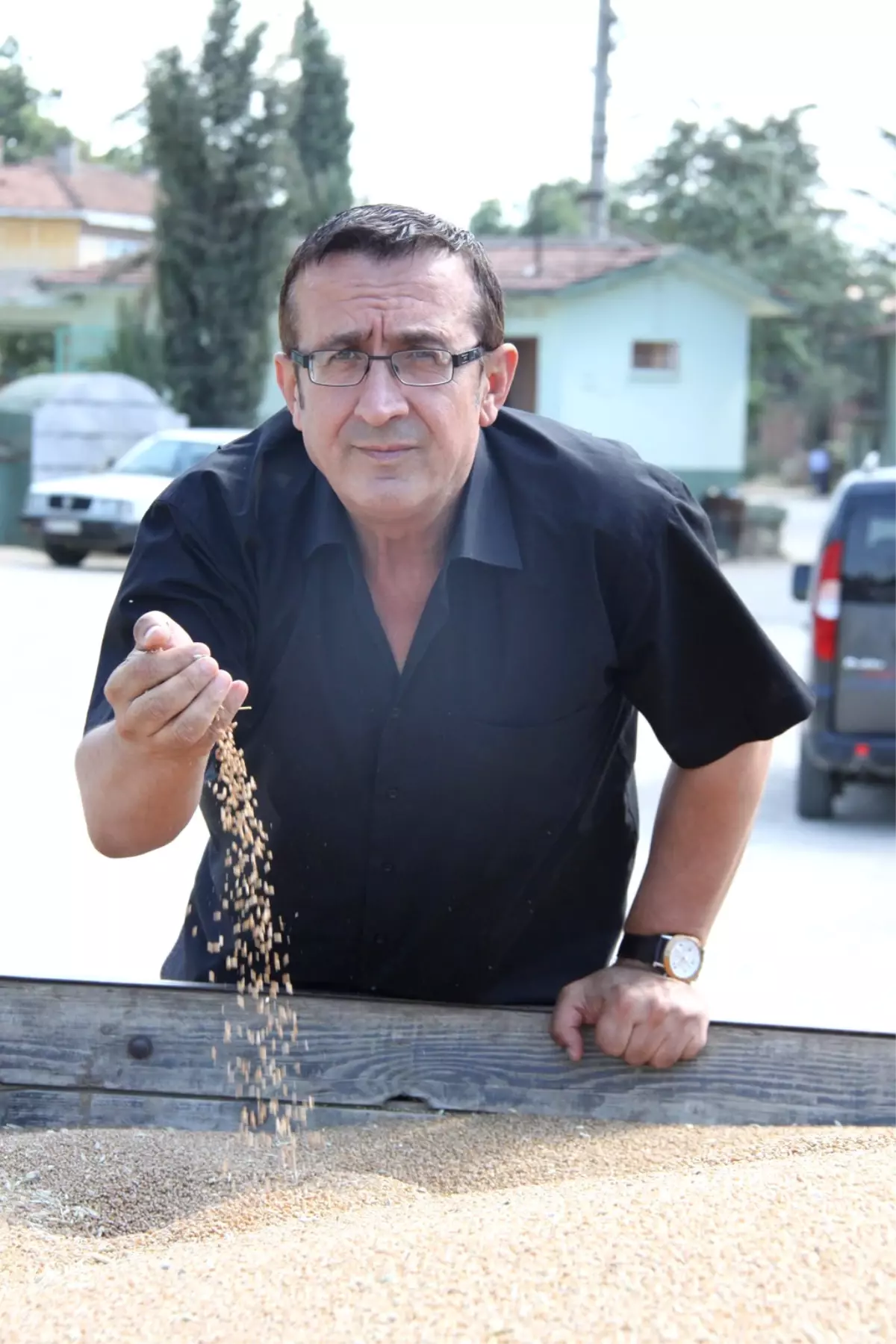 TMO Buğday Alımına Başladı