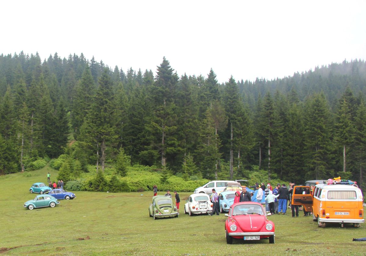 Vosvoslar Yaylada