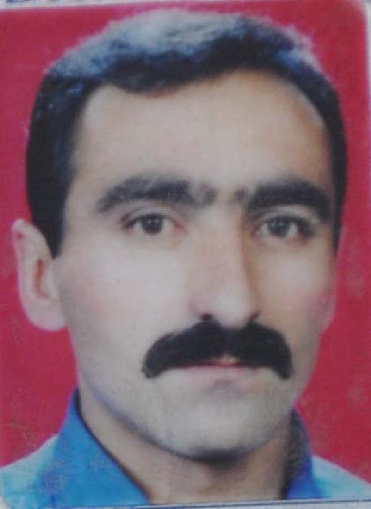 Arı Soktu, Kalbi Durdu