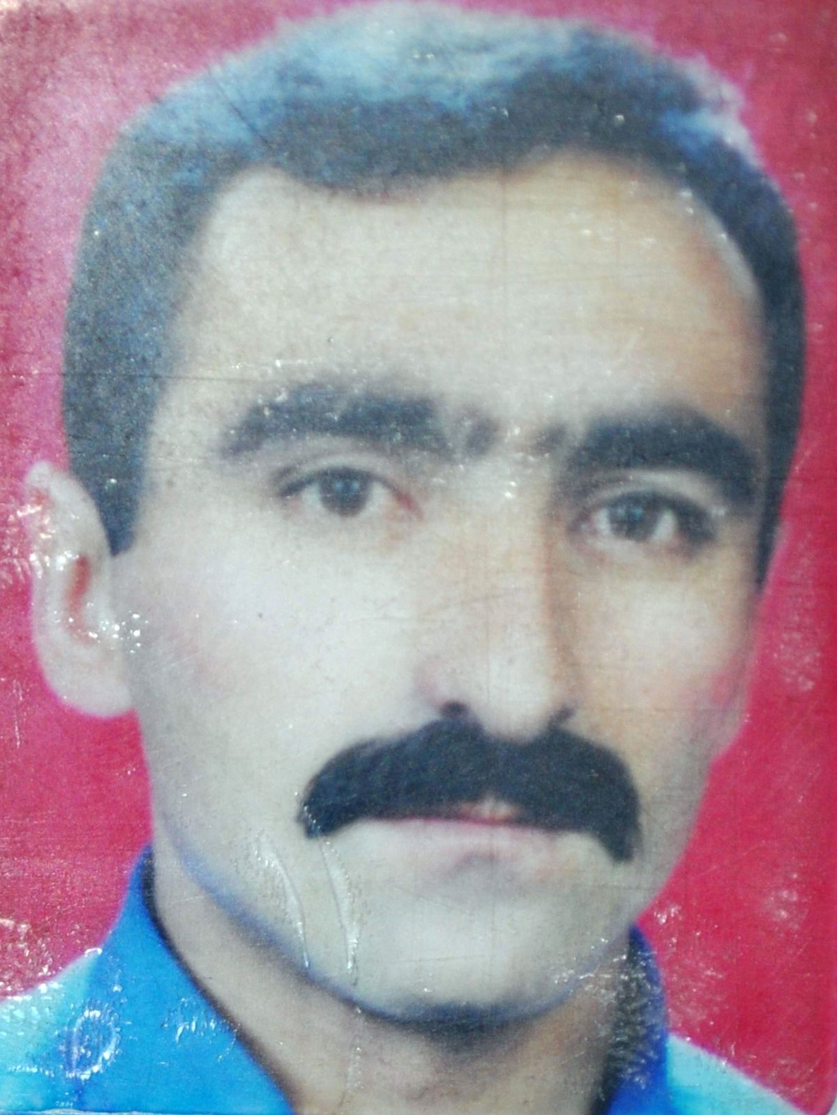 Arıların Saldırısına Uğrayan Bir Kişi Hayatını Kaybetti