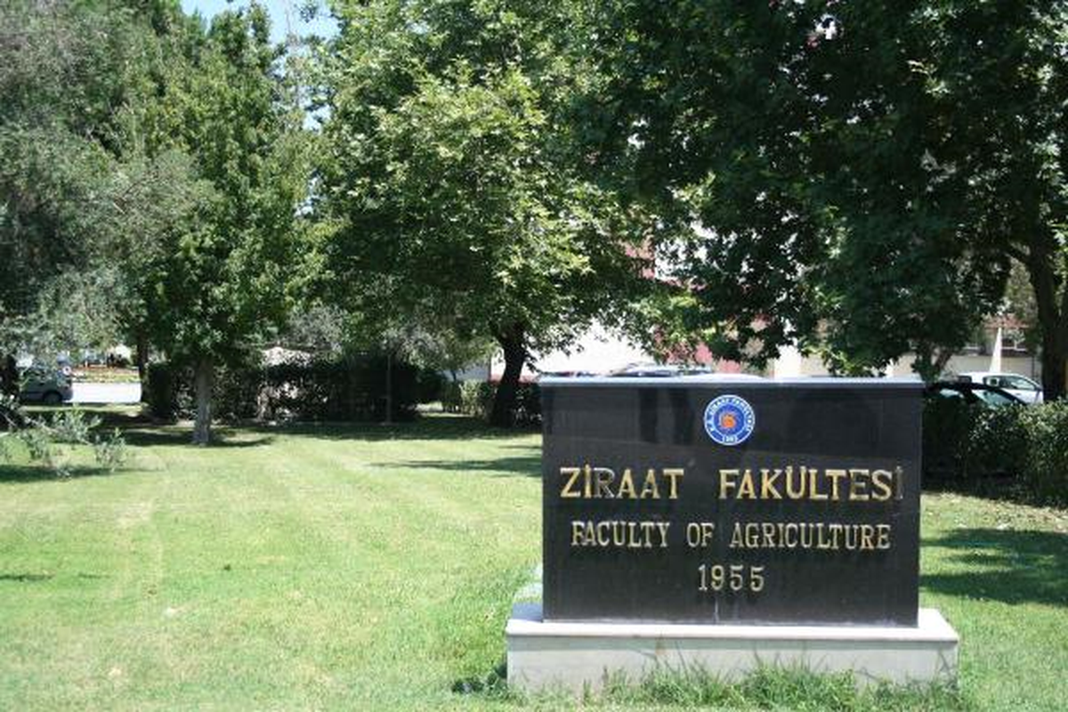 Eg Üniversitesi\'nde Hintkeneviri Şoku