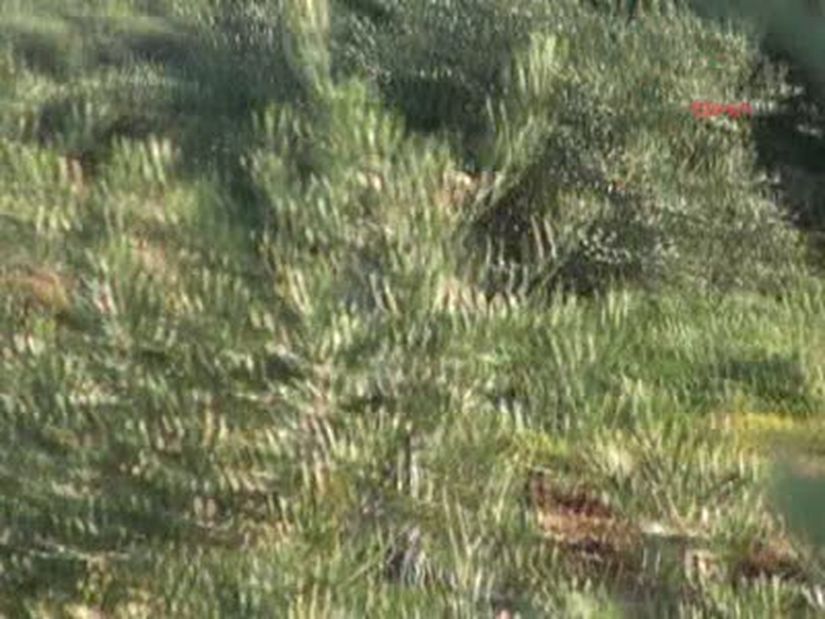Türkiye\'ye Getirilen 6 Yaralıdan 1\'i Öldü