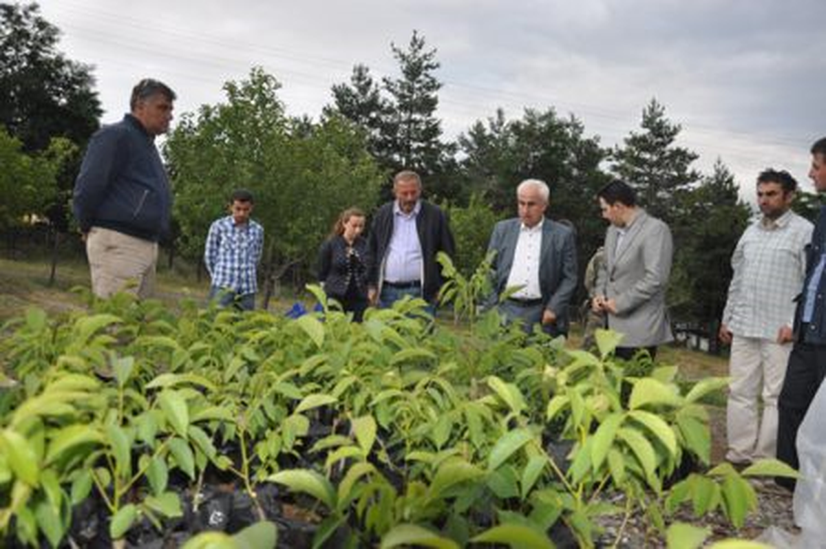 Giresun Valisi Dursun Ali Şahin\'den Pazar Mesaisi