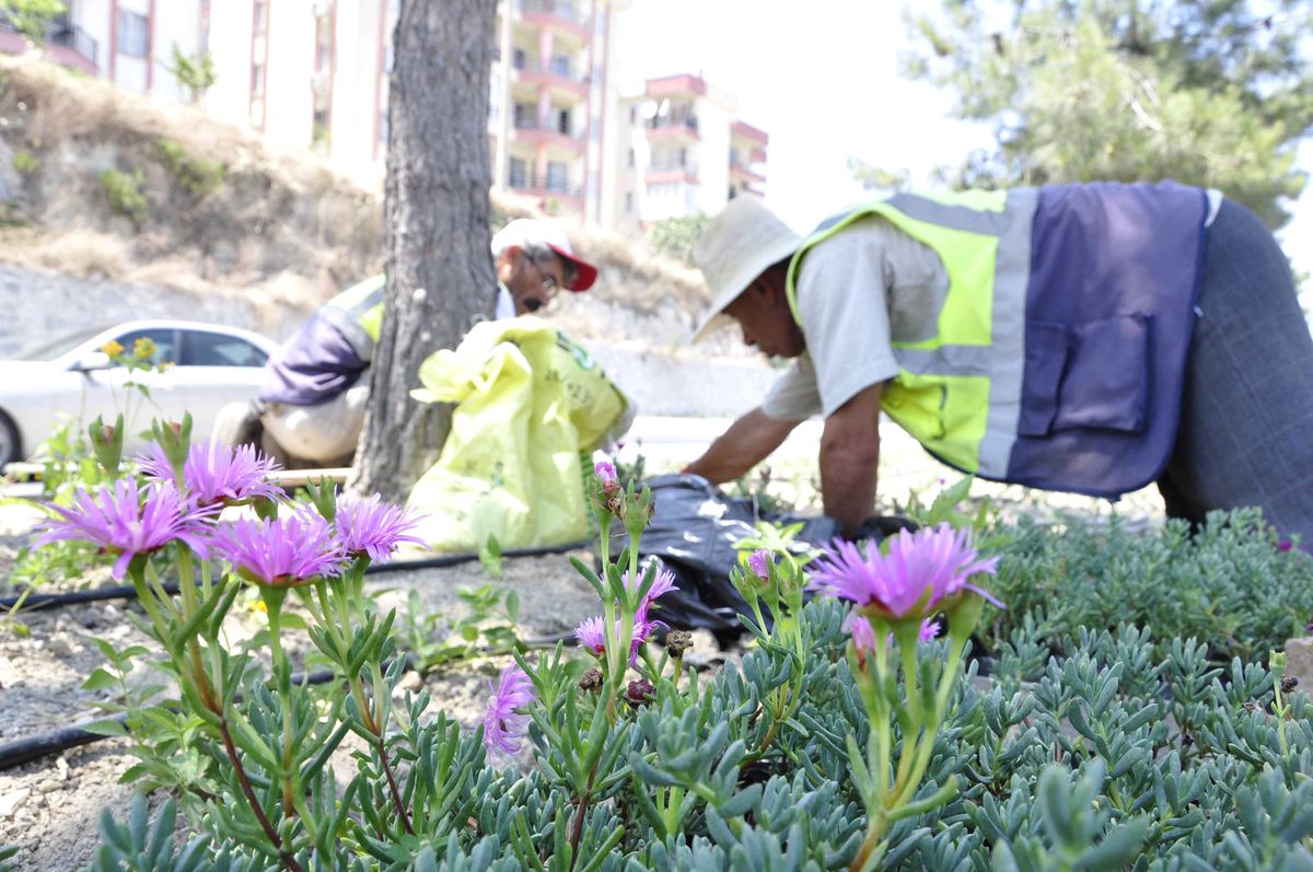 Kuşadası Çevre Yolu Yeşilleniyor