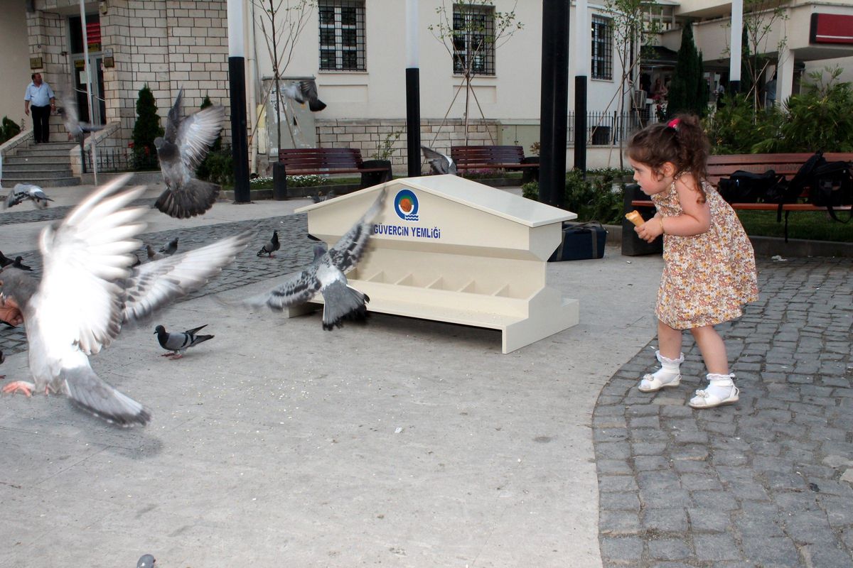 Ordu Belediyesi Sorunu Yemlikle Çözdü