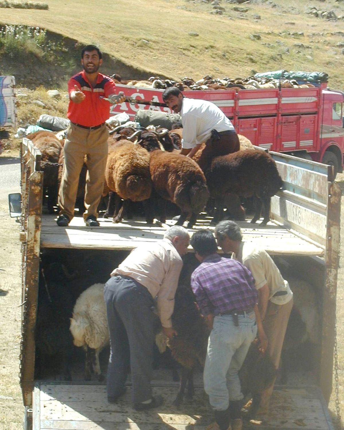 Son 6 Yıldır Trakya\'da Şap Görülmedi