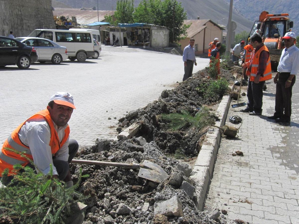 Hakkari\'de Ağaçlandırma Çalışmaları