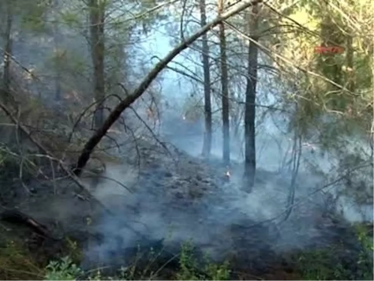Türkiye-Suriye Sınırındaki Yangın