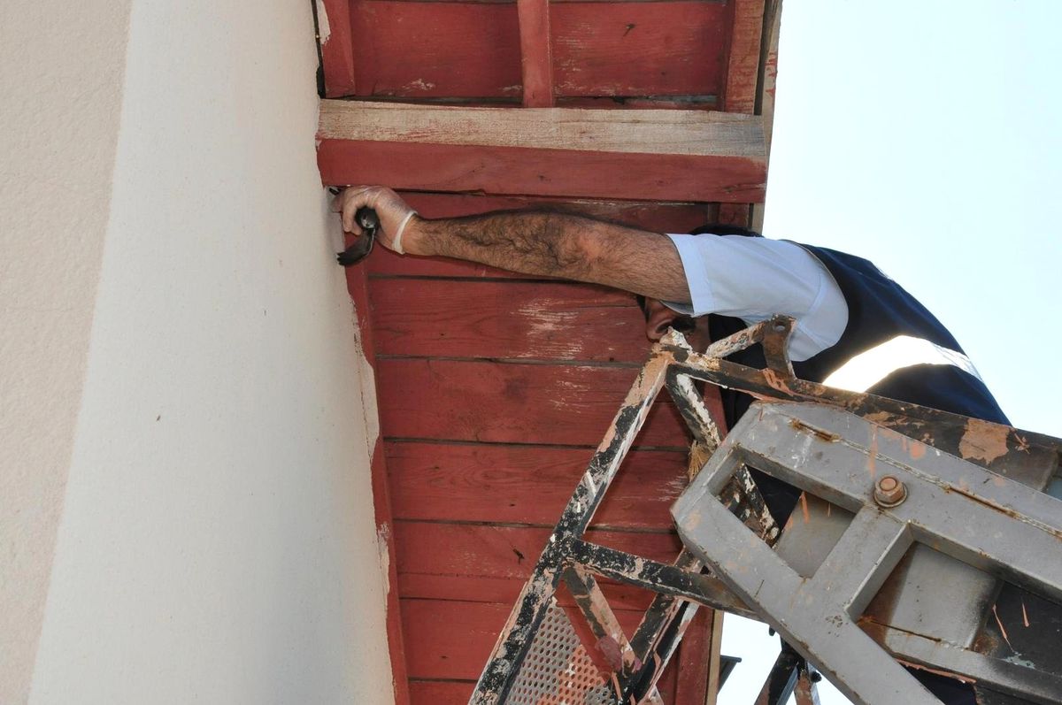Yerköy\'de Belediye Ekipleri Kırlangıç İçin Seferber Oldu