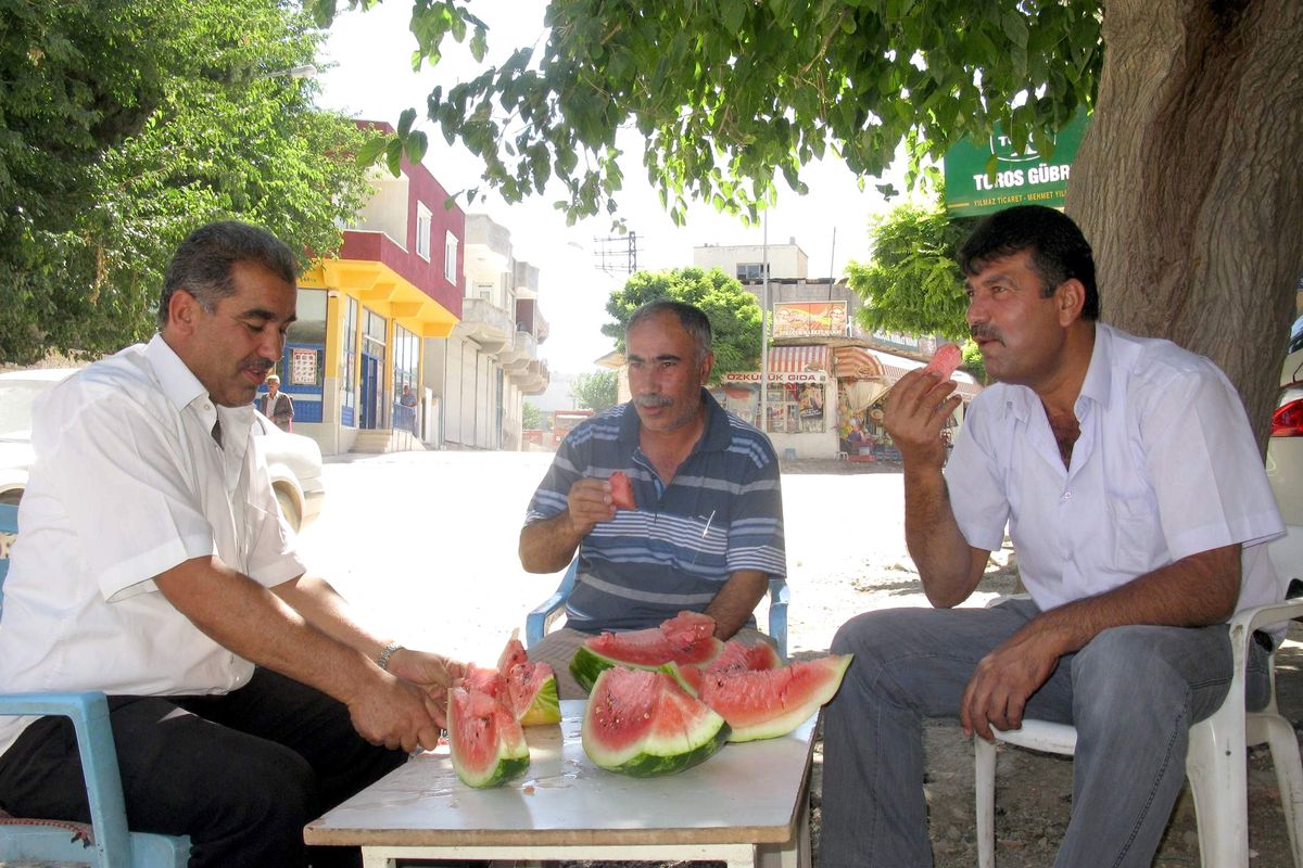 Araban Baklavası Olarak Bilinen Araban Karpuzu Tezgahlarda
