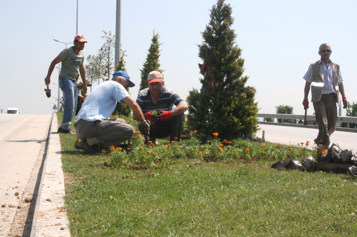 Düzce Belediyesi Kenti Çiçeklendiriyor