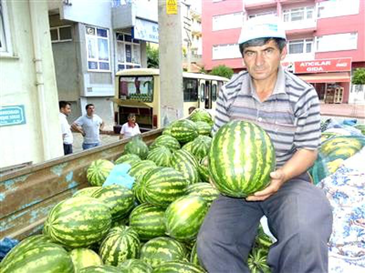 Hayrabolu\'nun Yerli Karpuzu Çıktı