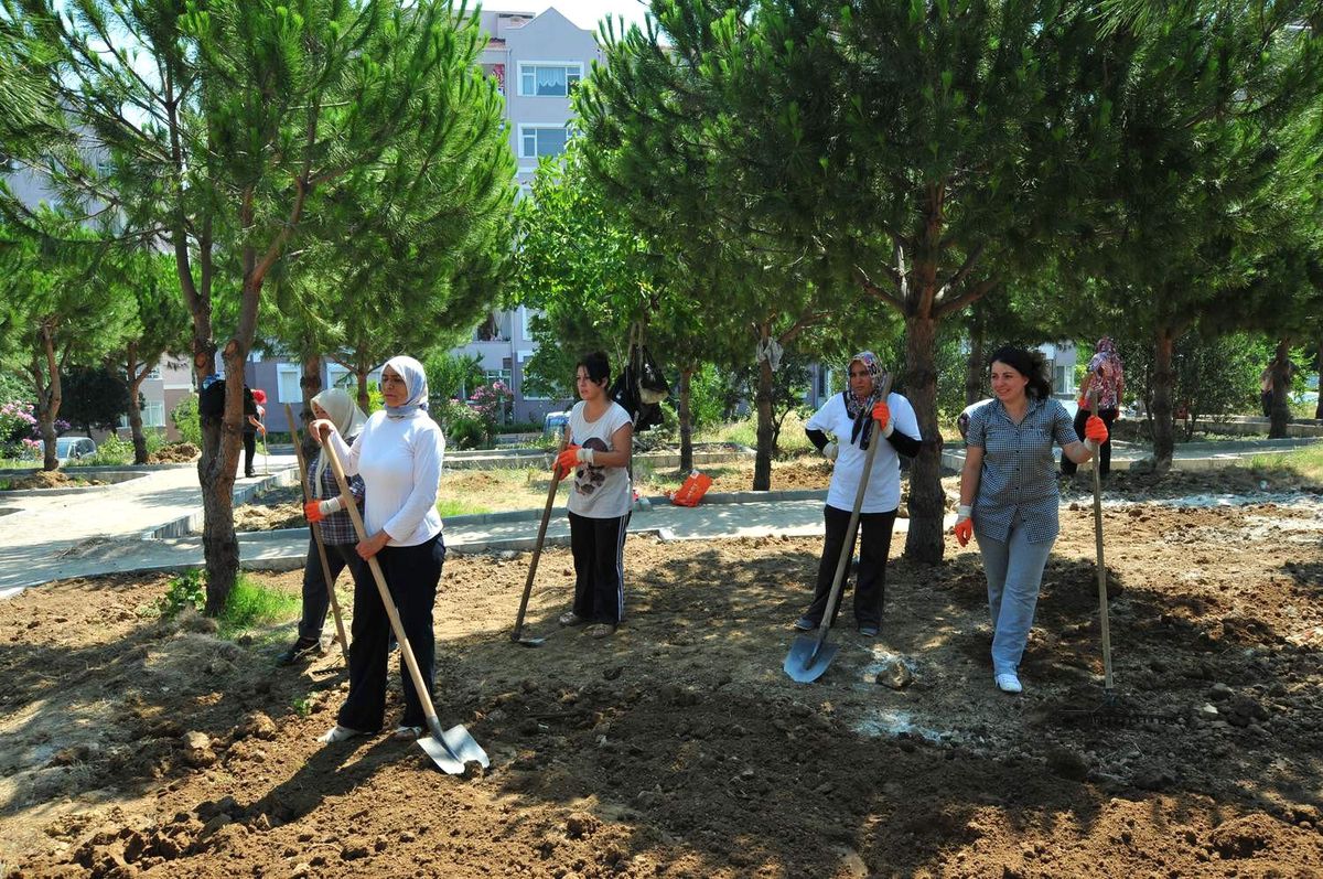 Hem Eğitim Görüyor, Hem Şehri Güzelleştiriyorlar