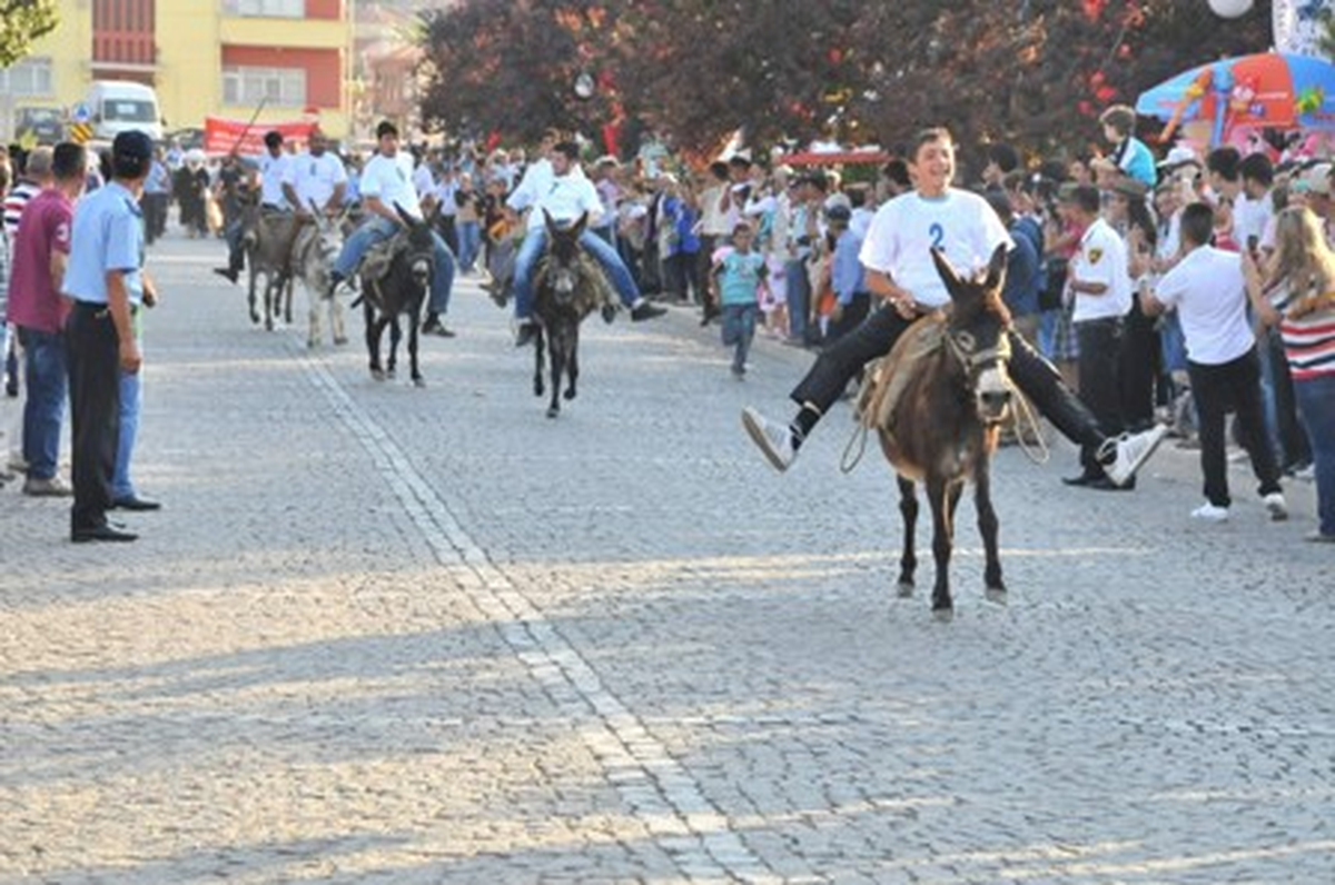 Akşehir\'de Eşek Yarışı