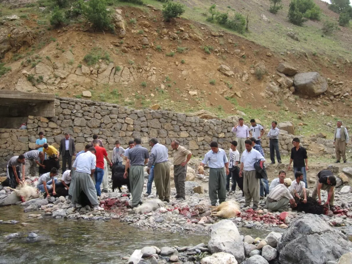 Aşiret Mensubuna Görkemli Düğün