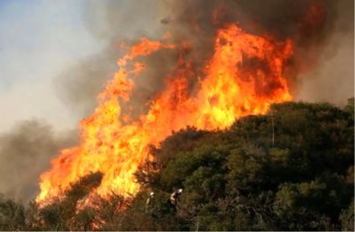 Bulgaristan\'daki Yangına Türkiye\'den Yardım Teklifi
