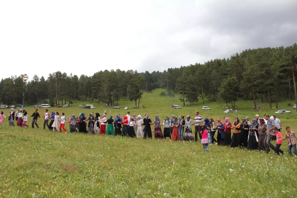 Derebaşı Köyü Piknik Gününde 500 Kişi Halay Çekti