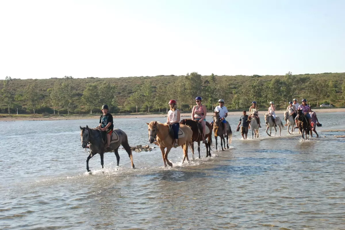 Didim\'de Turistlerin Yeni Gözdesi At Safari…