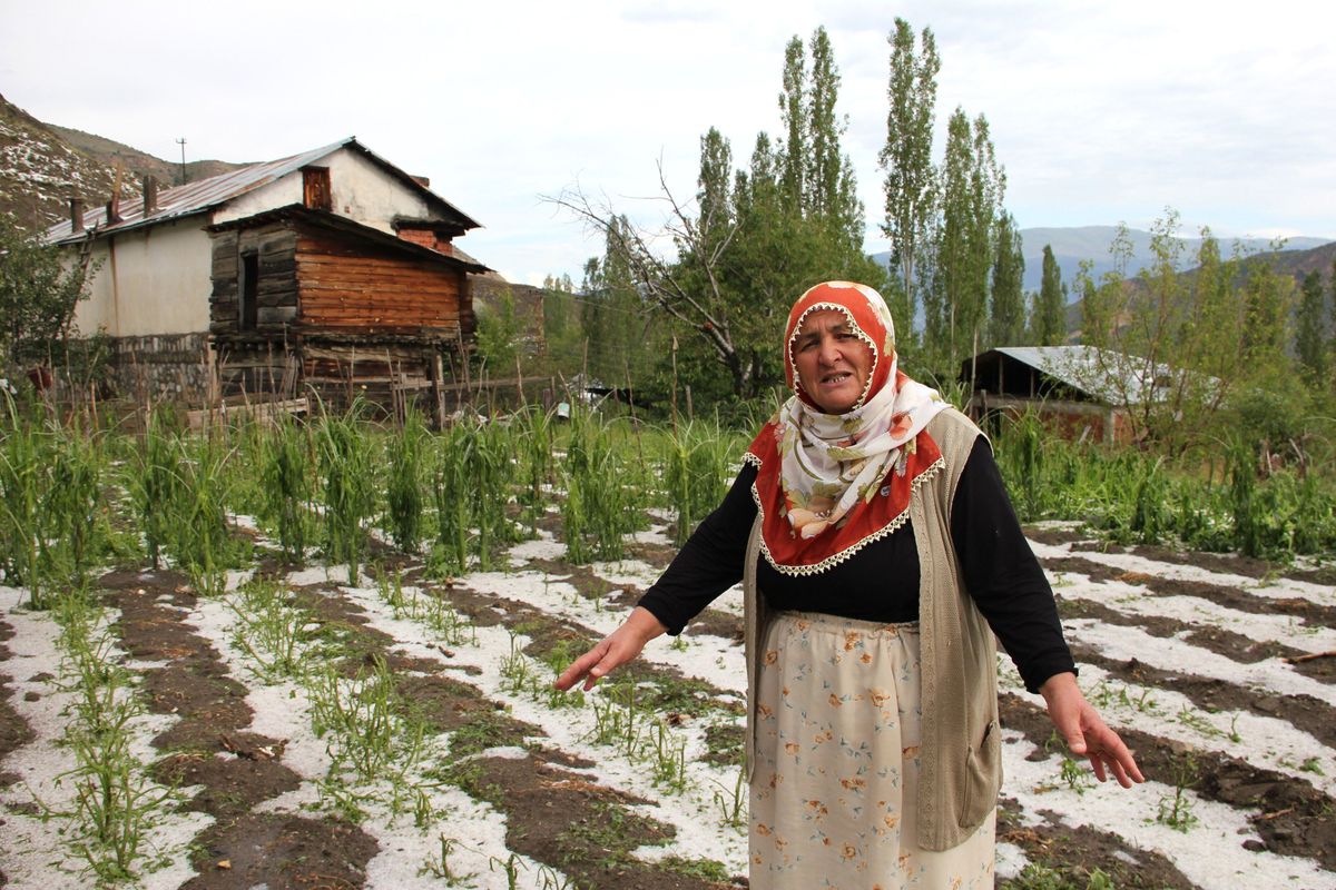 Dolu ve Kuraklık Tarım Arazilerini Vurdu