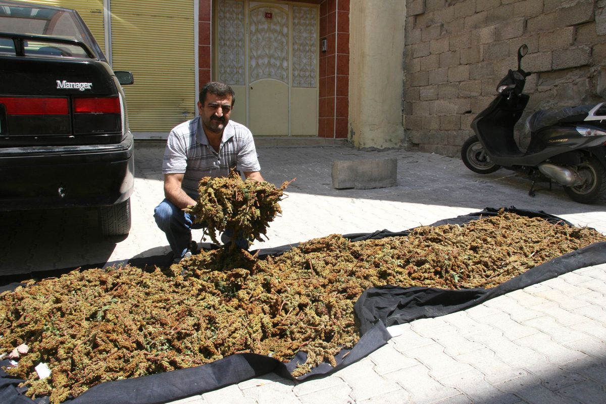 Kilis\'te Summak Ekşisi Piyasada