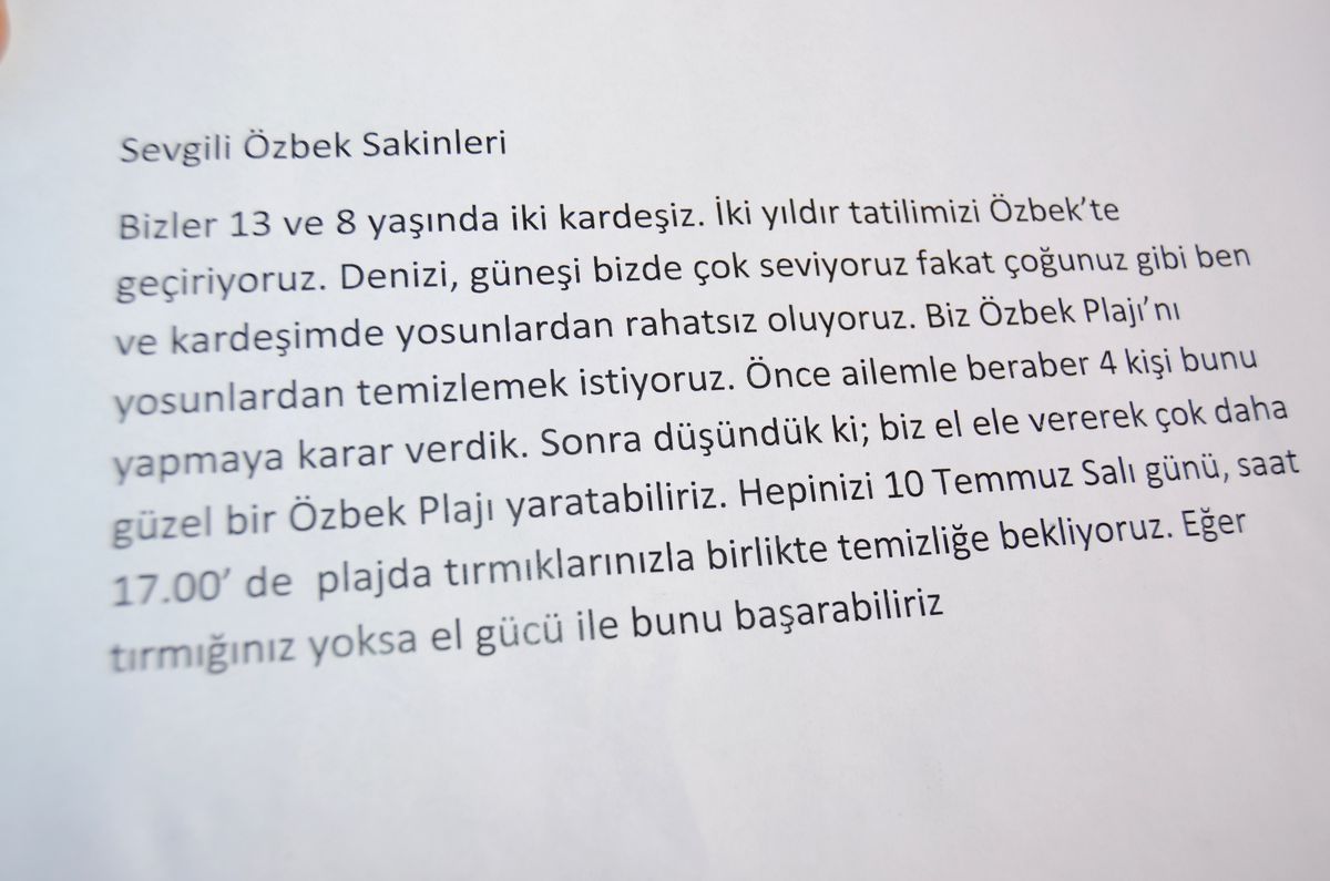 Tırmıklarıyla Denize Girecekler