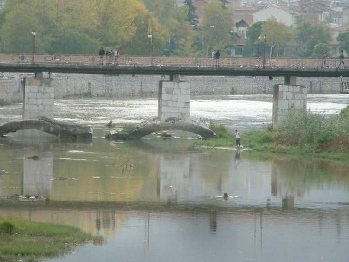 Yeşilırmak\'ta Balık Ölümlerine İnceleme