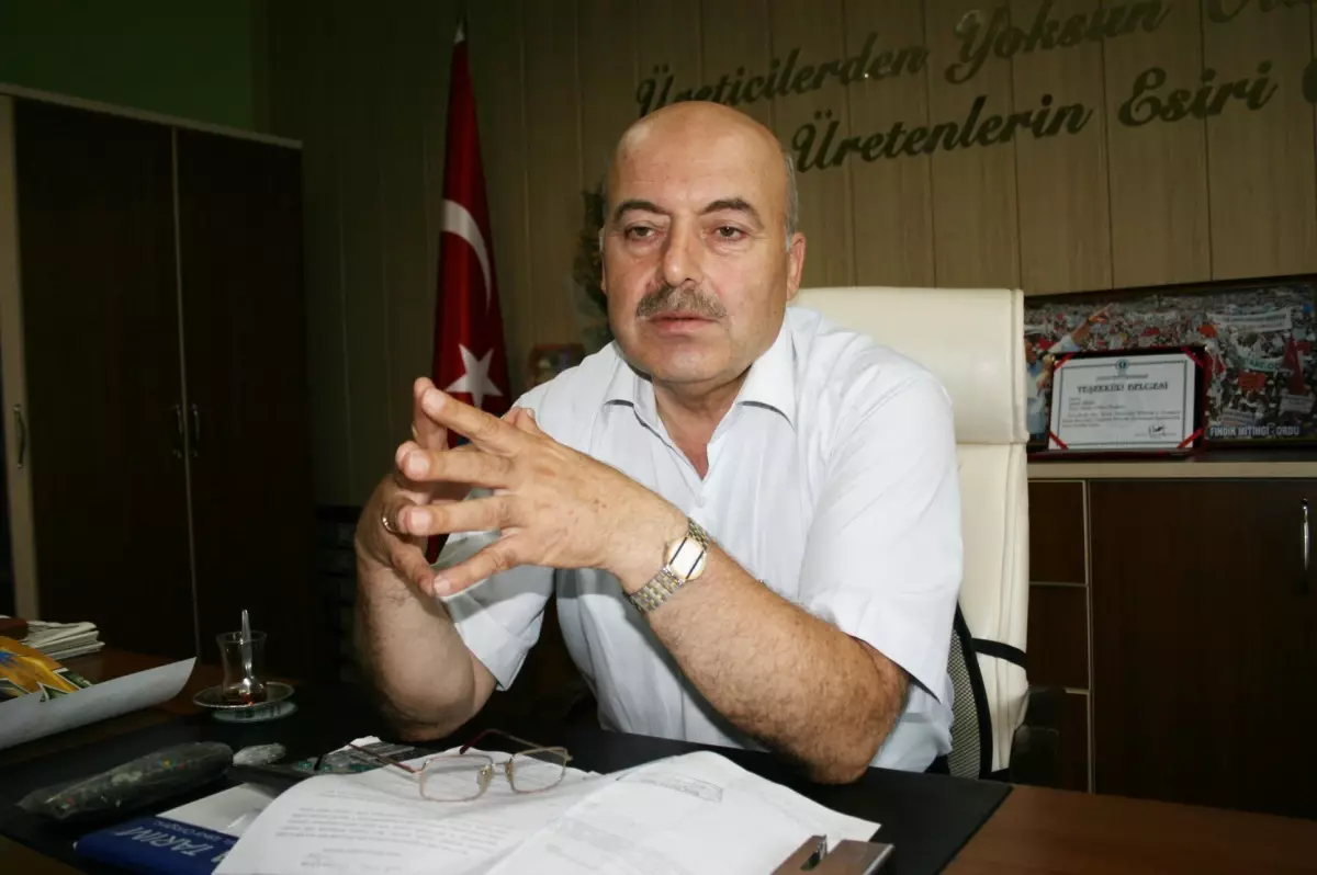 Karadeniz'de Yağmur Yağışları Fındıklara Yaradı
