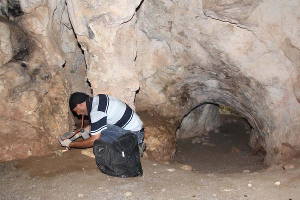 Kepsut\'ta Bilim Adamlarının Örümcek Avı