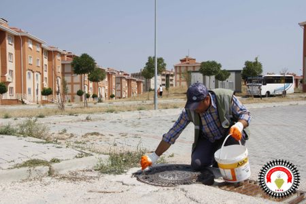 Sinek ve Sivrisineklere Karşı İlaçlama