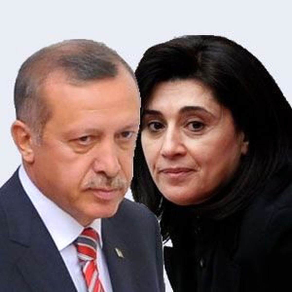 Başbakan Erdoğan-Zana Görüşmesi