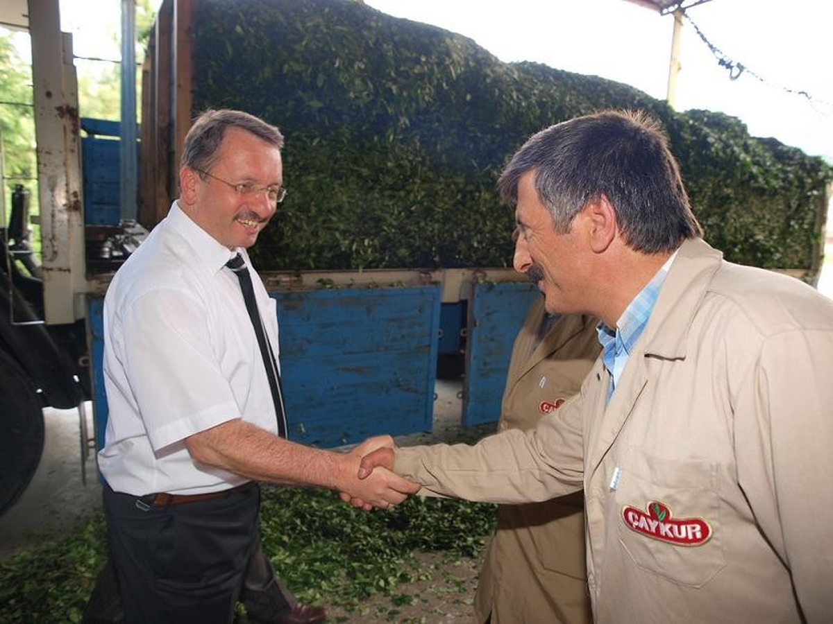 Çay Alımları Devam Ediyor