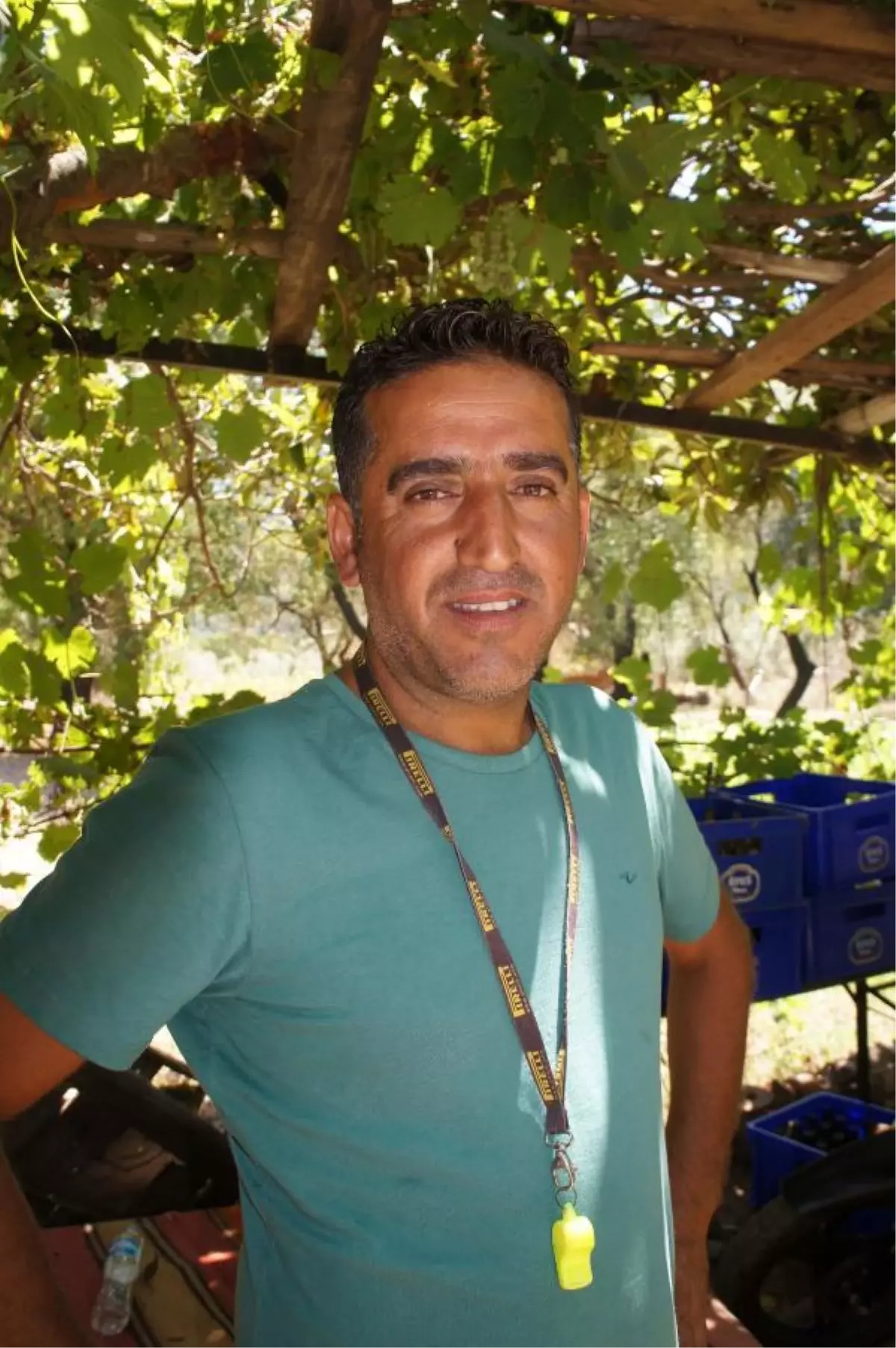 Cip Safaride Su Savaşı