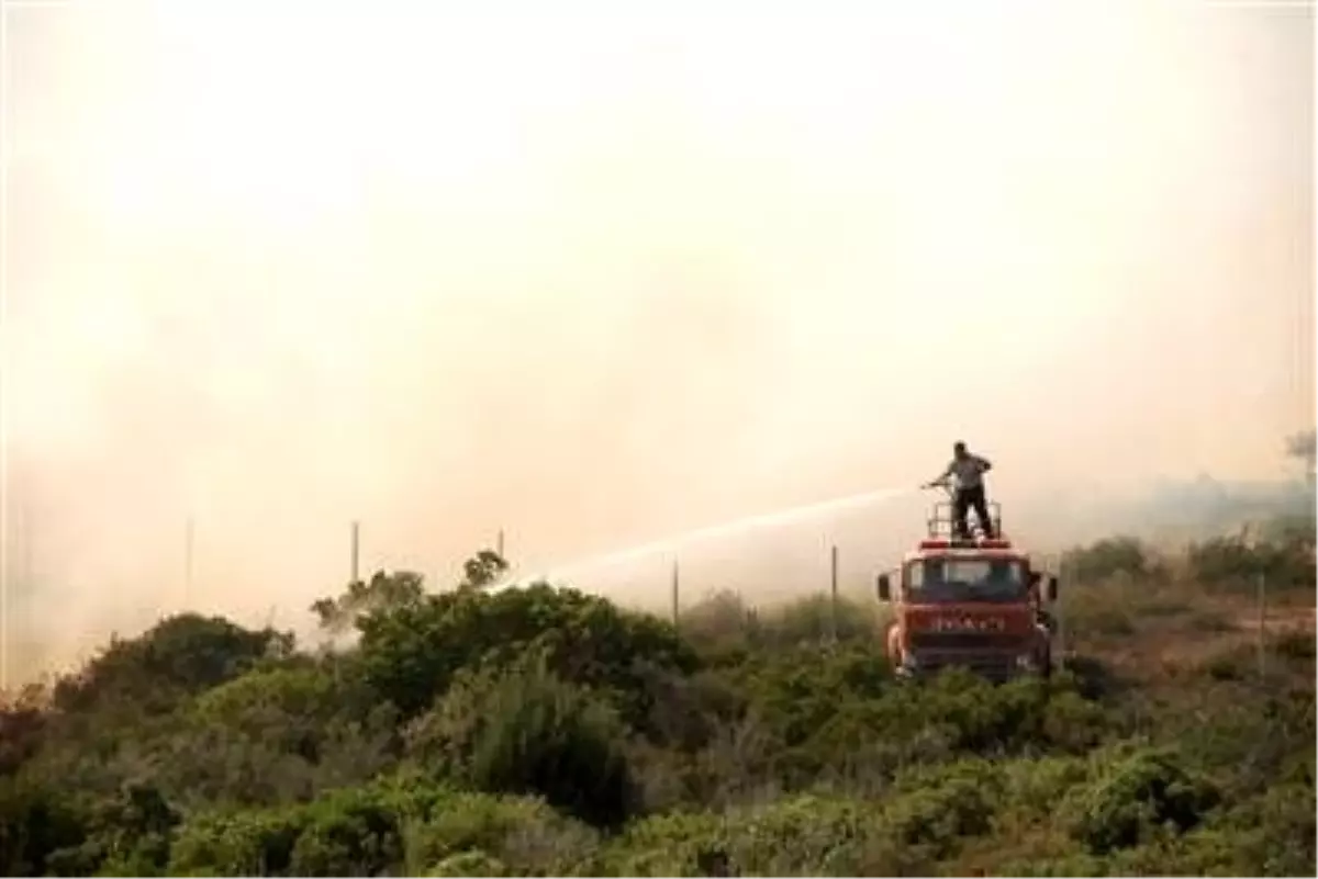 Didim'de Makilik Alanda Yangın