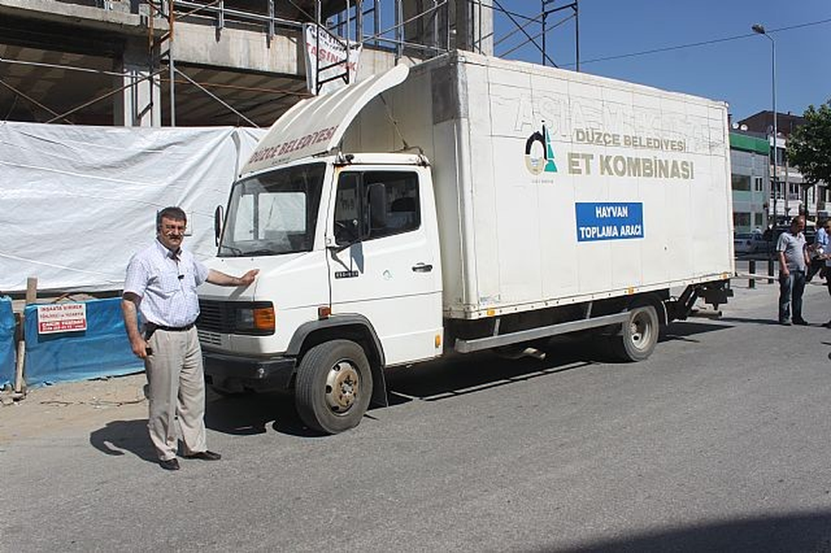 Düzce Belediyesi Başıboş Hayvanlar Toplıyor