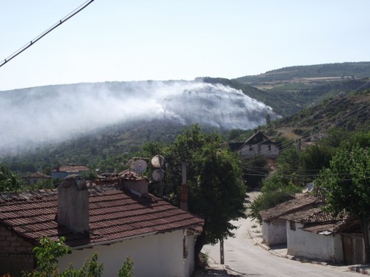 Gölpazarı\'nda Korkutan Yangın