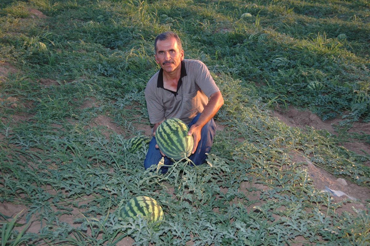 Tarım İşletmecileri Hedef Büyüttü