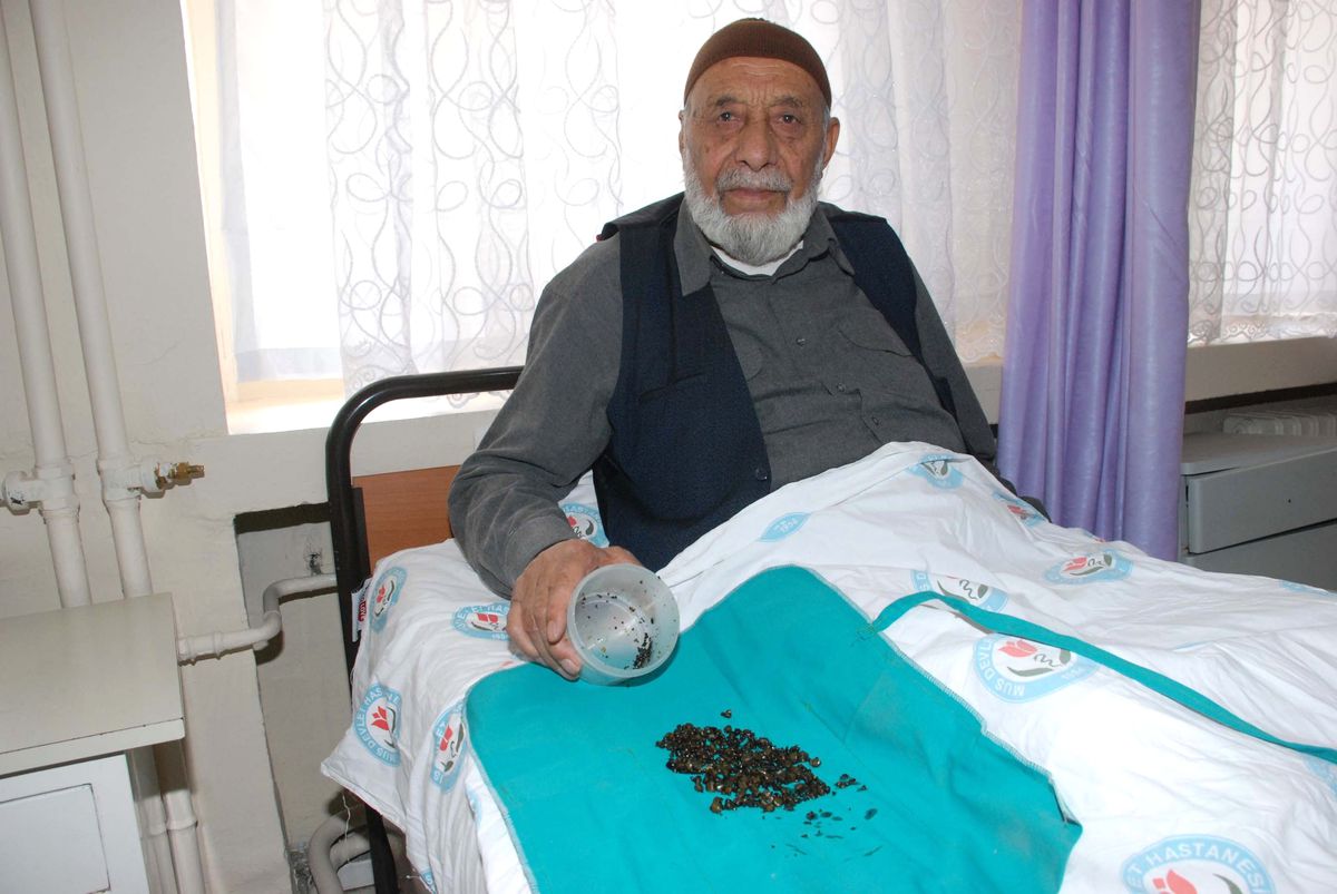Taş Ocağı Gibi