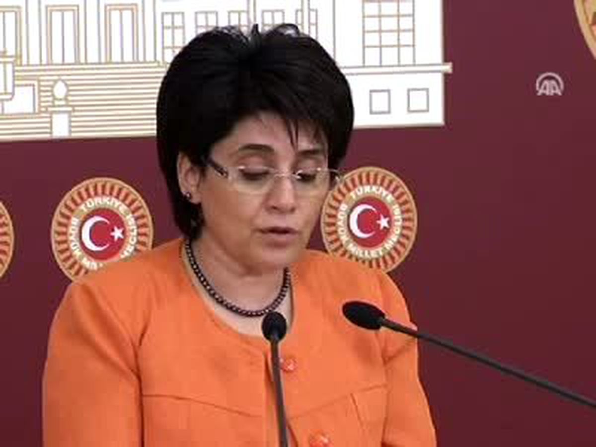 Zana, Erdoğan ile Görüşmesini Anlattı