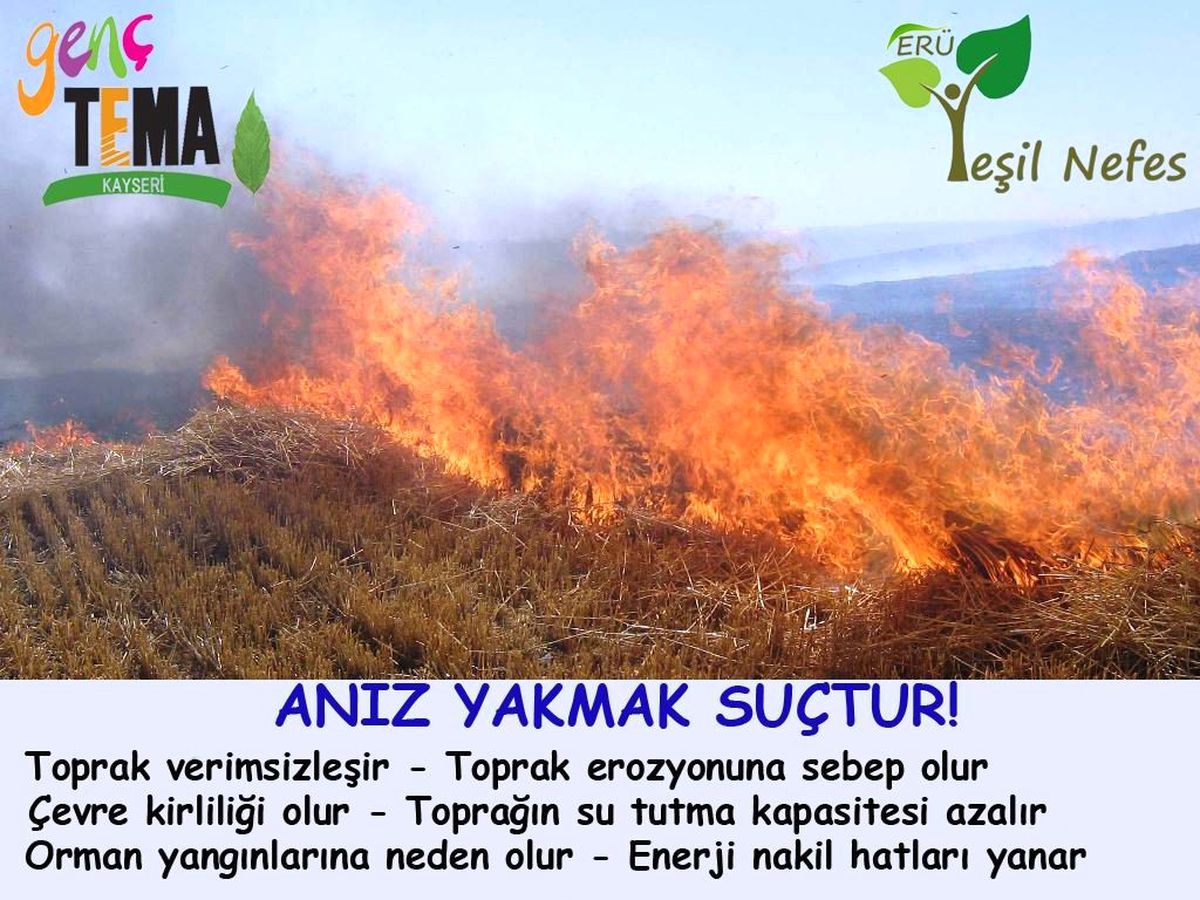 "Anız Yakımı Verimliliğini Düşürüyor"