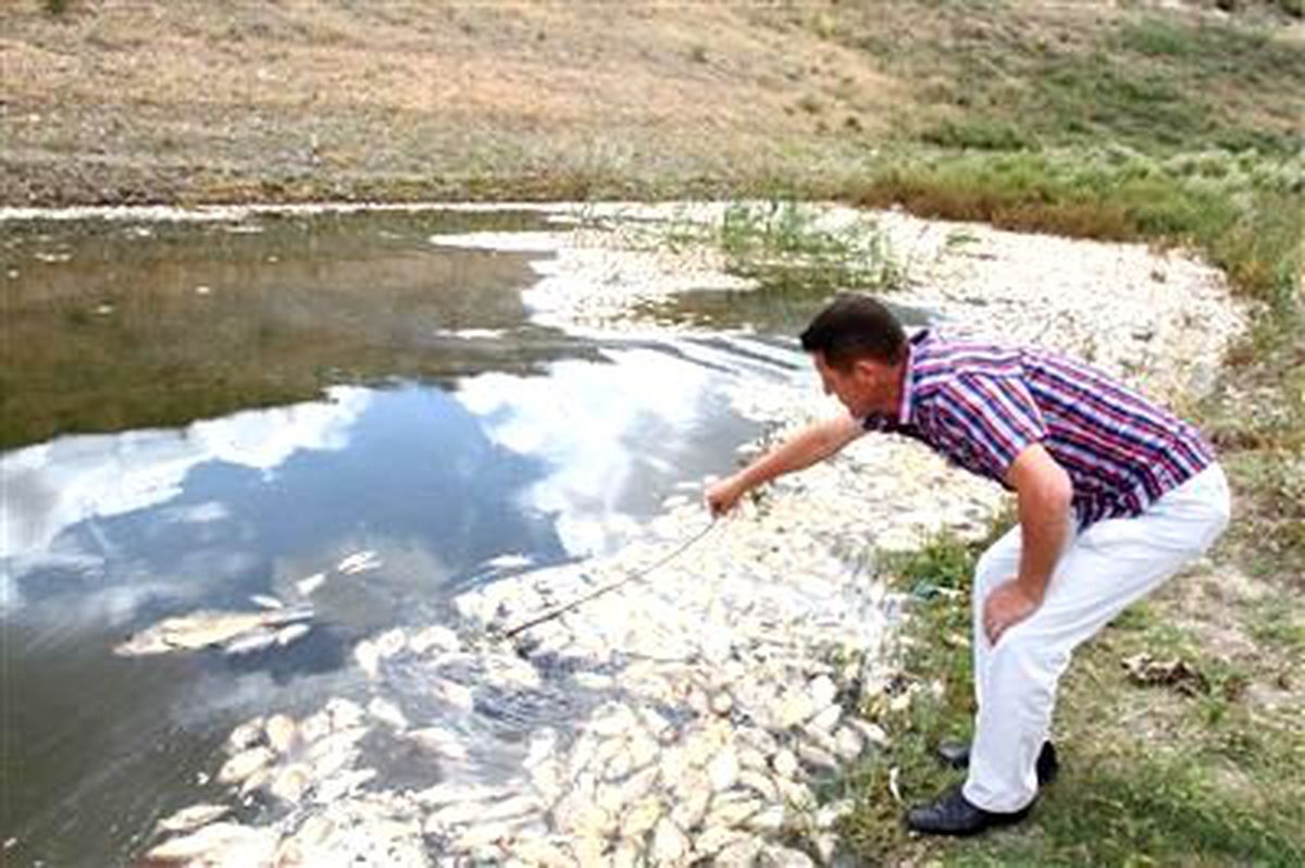 Balık Ölümlerinin Sebebi Alg Patlaması