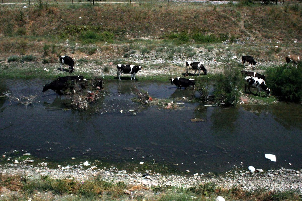 Bursa Kavruluyor