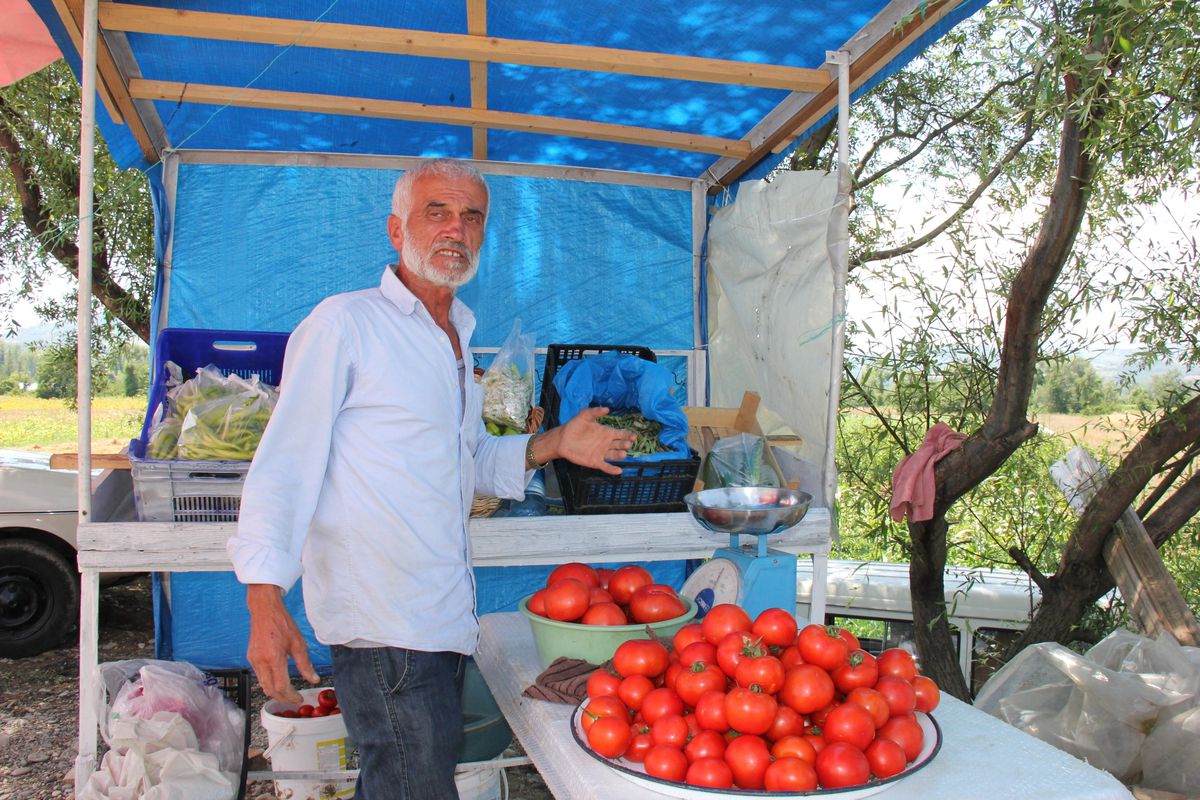 Çaycuma\'da Karpuz Yetiştiriyor