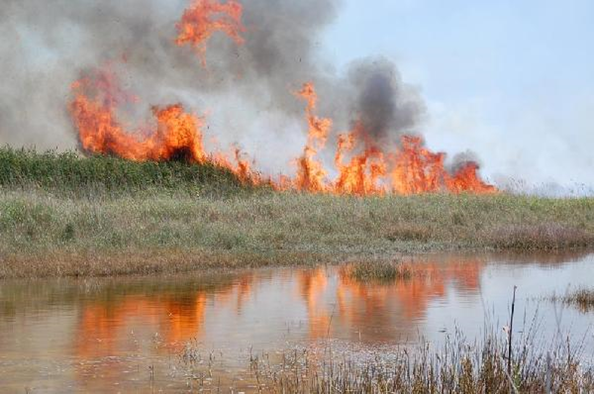 Göksu Deltası'nda Yangın