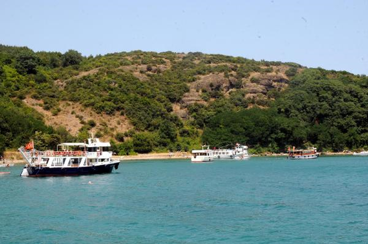 Bitmeyen Koy Mücadelesi
