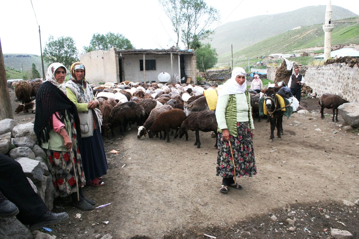 Iğdır\'da Arazi Anlaşmazlığı
