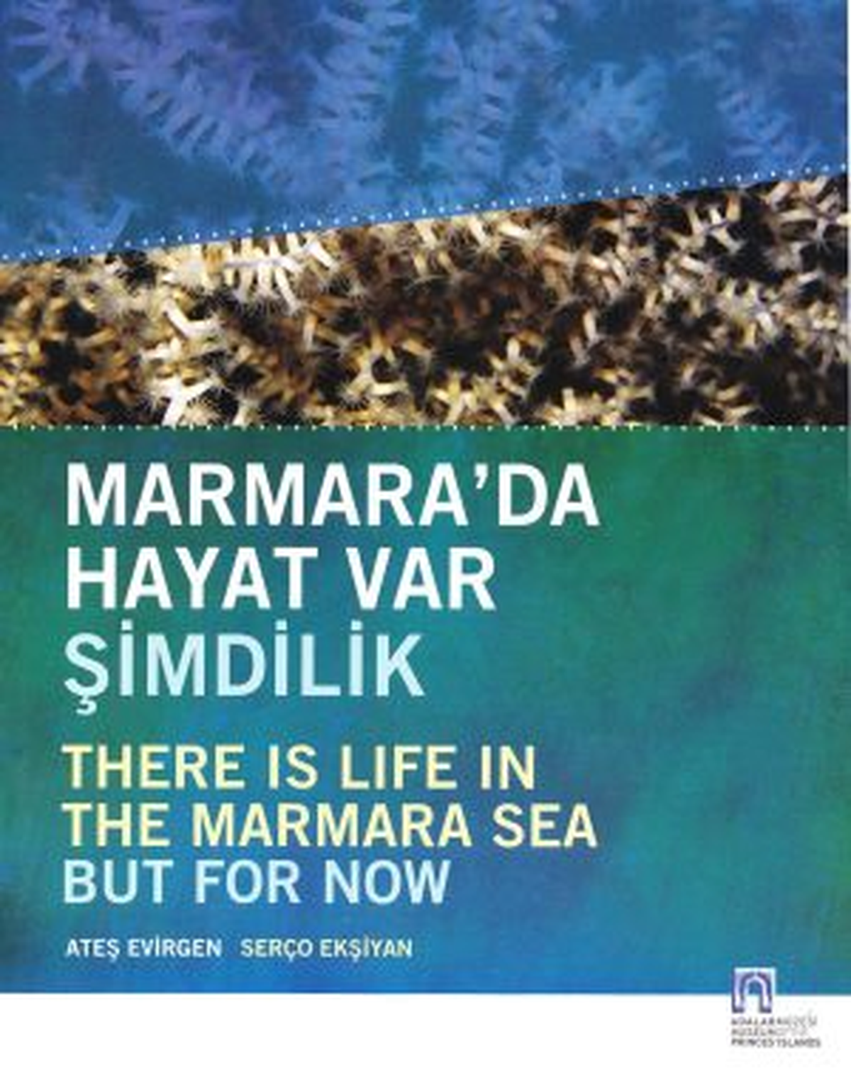"Marmara\'da Hayat Var, Şimdilik"